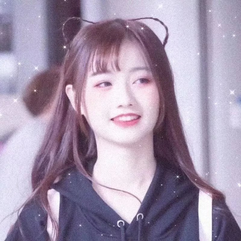 红色玫瑰：爱伦的日记