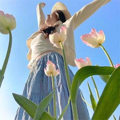 悬疑探案