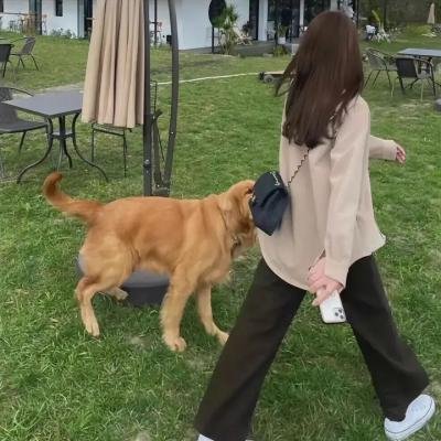 幸运儿彼尔